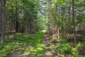 On Dam Rd, , Eagle River,  WI 54521 USA