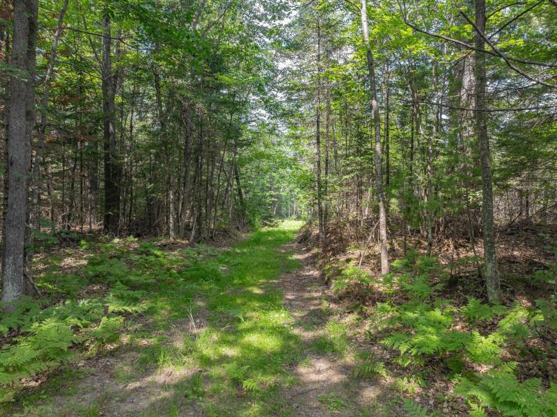 On Dam Rd, , Eagle River,  WI 54521 USA