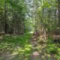 On Dam Rd, , Eagle River,  WI 54521 USA