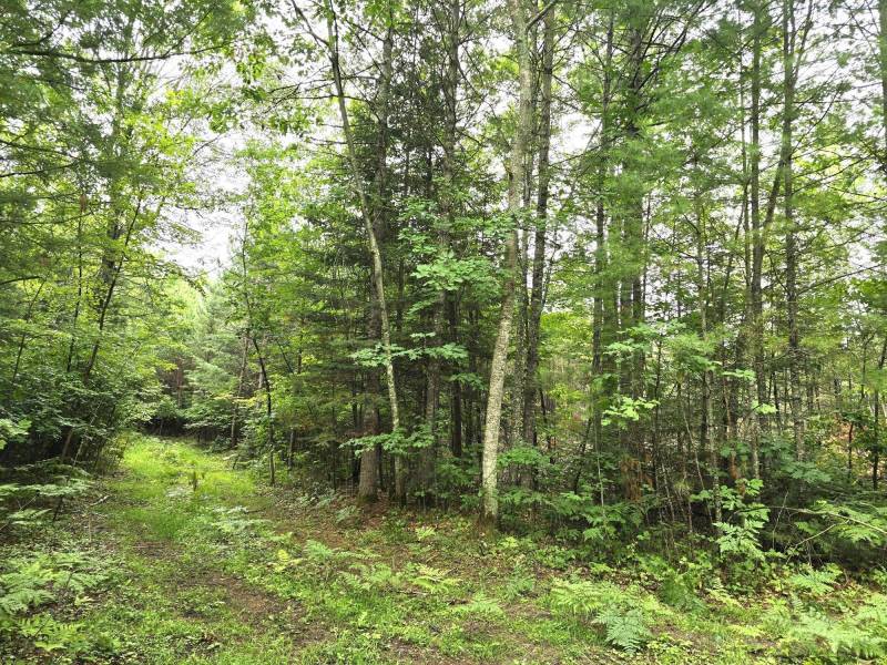 On Dam Rd, , Eagle River,  WI 54521 USA