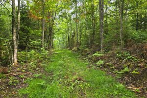 On Dam Rd, , Eagle River,  WI 54521 USA
