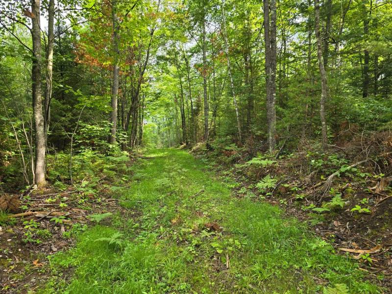 On Dam Rd, , Eagle River,  WI 54521 USA