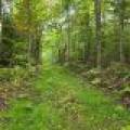 On Dam Rd, , Eagle River,  WI 54521 USA