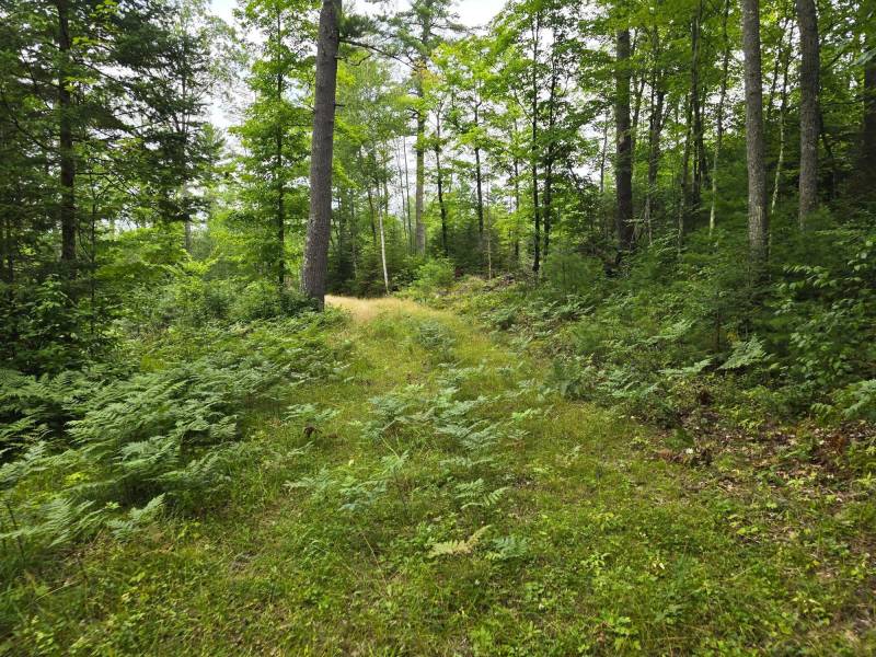 On Dam Rd, , Eagle River,  WI 54521 USA
