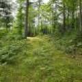 On Dam Rd, , Eagle River,  WI 54521 USA