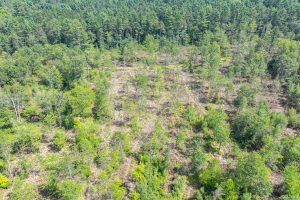 On Dam Rd, , Eagle River,  WI 54521 USA