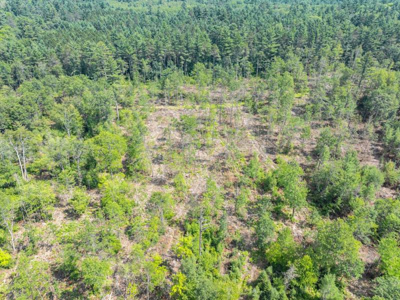 On Dam Rd, , Eagle River,  WI 54521 USA
