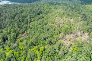 On Dam Rd, , Eagle River,  WI 54521 USA