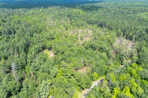On Dam Rd, , Eagle River,  WI 54521 USA