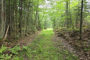 On Dam Rd, , Eagle River,  WI 54521 USA