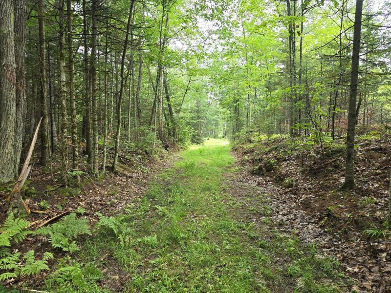 On Dam Rd, , Eagle River,  WI 54521 USA