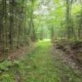 On Dam Rd, , Eagle River,  WI 54521 USA
