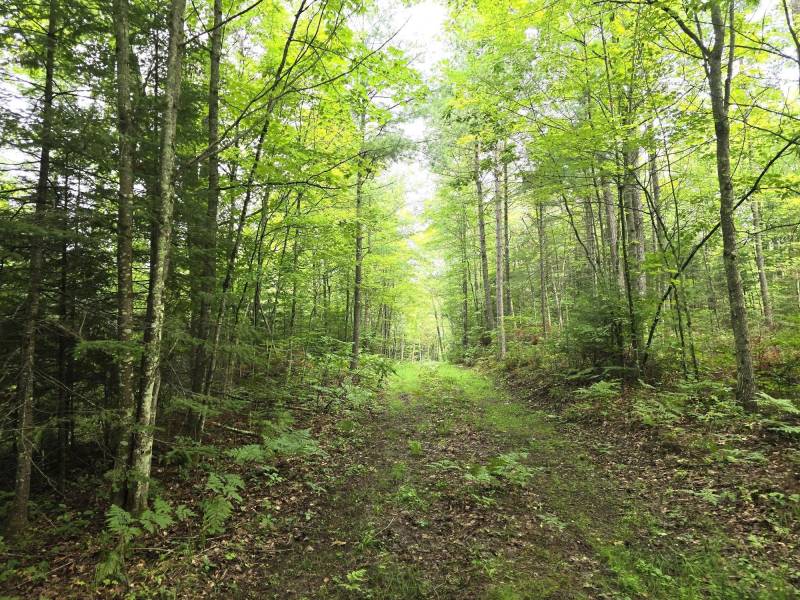 On Dam Rd, , Eagle River,  WI 54521 USA