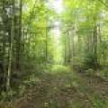 On Dam Rd, , Eagle River,  WI 54521 USA