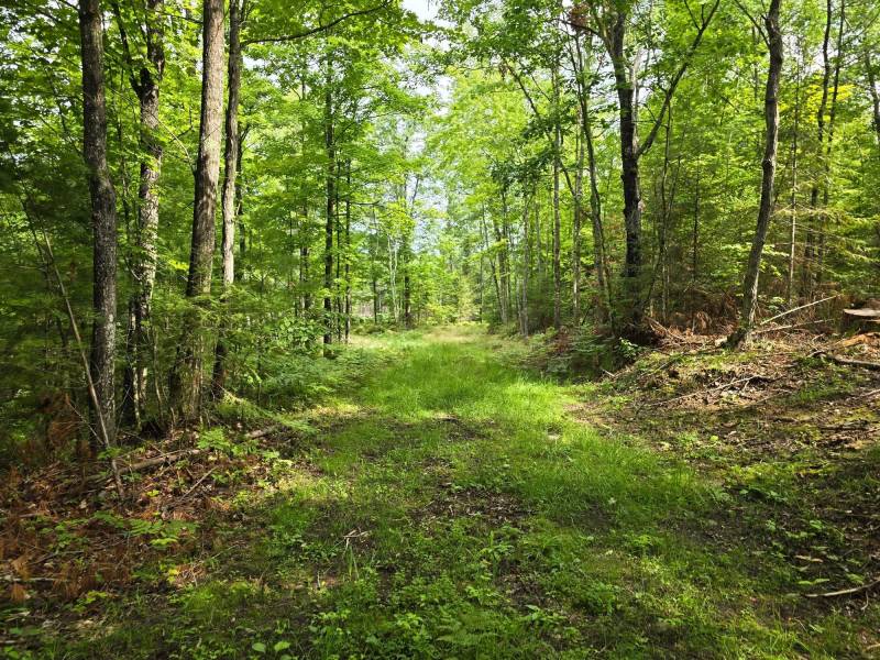 On Dam Rd, , Eagle River,  WI 54521 USA