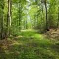On Dam Rd, , Eagle River,  WI 54521 USA