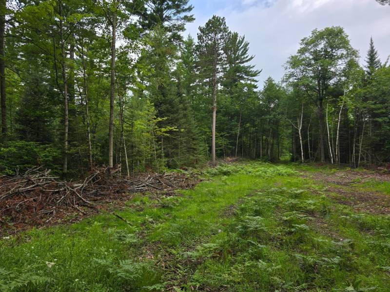 On Dam Rd, , Eagle River,  WI 54521 USA