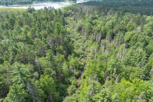 On Dam Rd, , Eagle River,  WI 54521 USA