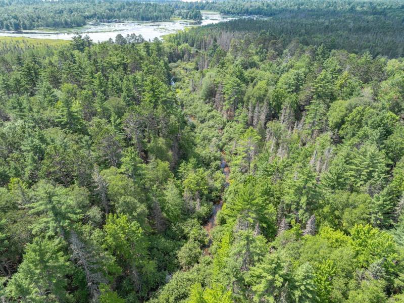 On Dam Rd, , Eagle River,  WI 54521 USA