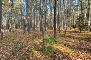 202 Oak Crest Dr, , Woodruff,  WI 54568 USA