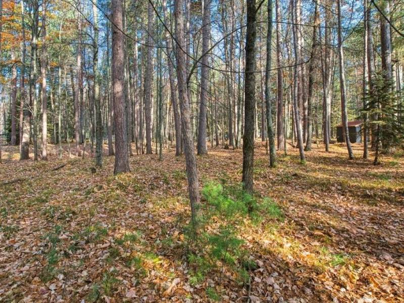 202 Oak Crest Dr, , Woodruff,  WI 54568 USA