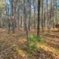 202 Oak Crest Dr, , Woodruff,  WI 54568 USA
