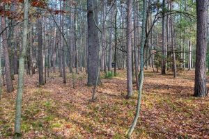 202 Oak Crest Dr, , Woodruff,  WI 54568 USA