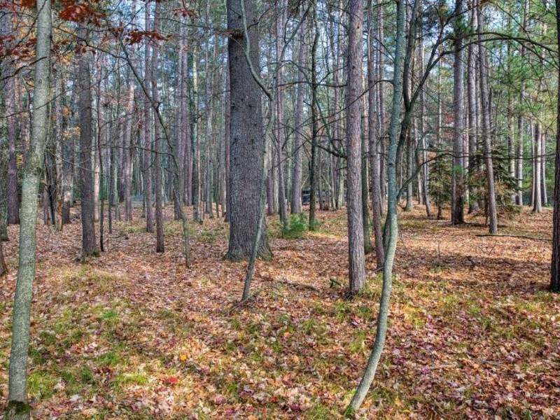 202 Oak Crest Dr, , Woodruff,  WI 54568 USA