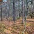 202 Oak Crest Dr, , Woodruff,  WI 54568 USA