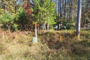 4042 Hibanks Rd, , Conover,  WI 54519 USA