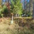 4042 Hibanks Rd, , Conover,  WI 54519 USA