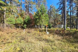 4042 Hibanks Rd, , Conover,  WI 54519 USA