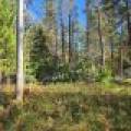 4042 Hibanks Rd, , Conover,  WI 54519 USA