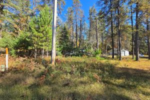 4042 Hibanks Rd, , Conover,  WI 54519 USA