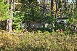 4042 Hibanks Rd, , Conover,  WI 54519 USA