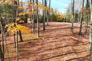 N16349 Sand Cove Pointe Rd, , Park Falls,  WI 54552 USA