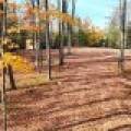 N16349 Sand Cove Pointe Rd, , Park Falls,  WI 54552 USA