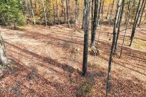 N16349 Sand Cove Pointe Rd, , Park Falls,  WI 54552 USA