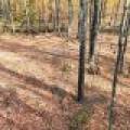 N16349 Sand Cove Pointe Rd, , Park Falls,  WI 54552 USA