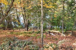 N16349 Sand Cove Pointe Rd, , Park Falls,  WI 54552 USA