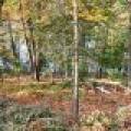 N16349 Sand Cove Pointe Rd, , Park Falls,  WI 54552 USA