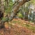 N16349 Sand Cove Pointe Rd, , Park Falls,  WI 54552 USA