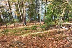 N16349 Sand Cove Pointe Rd, , Park Falls,  WI 54552 USA
