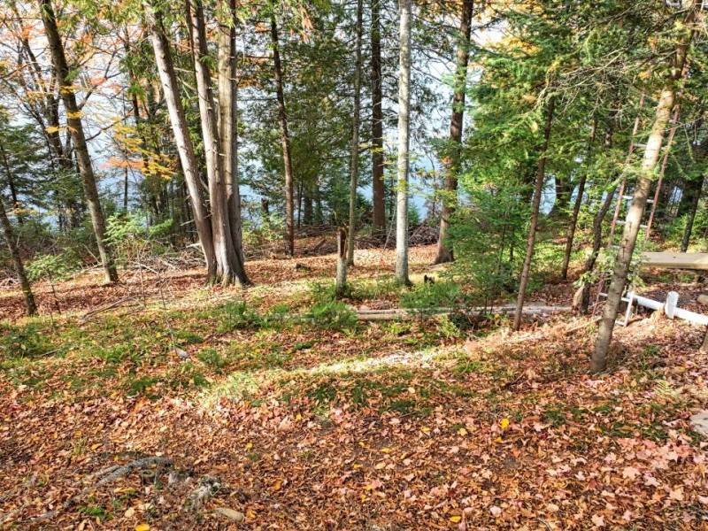 N16349 Sand Cove Pointe Rd, , Park Falls,  WI 54552 USA