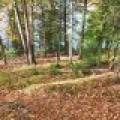 N16349 Sand Cove Pointe Rd, , Park Falls,  WI 54552 USA