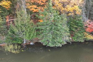 N16349 Sand Cove Pointe Rd, , Park Falls,  WI 54552 USA