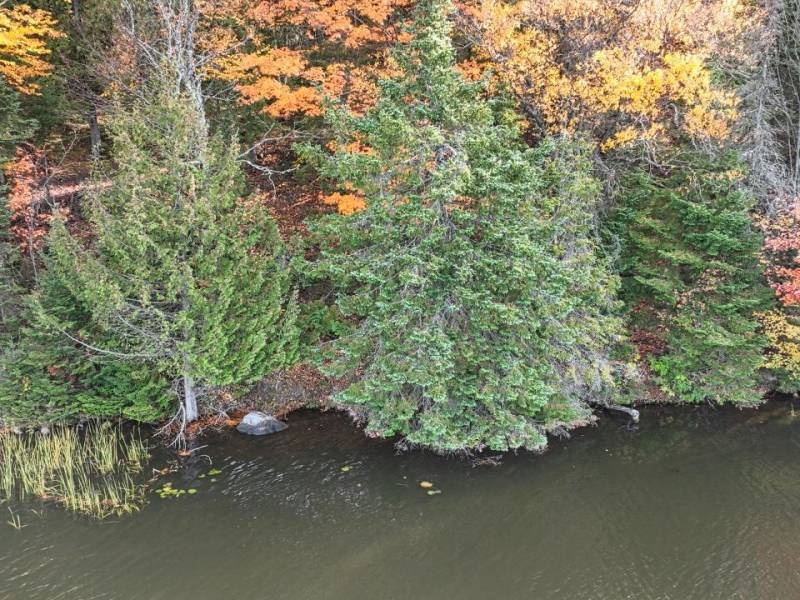 N16349 Sand Cove Pointe Rd, , Park Falls,  WI 54552 USA