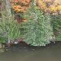 N16349 Sand Cove Pointe Rd, , Park Falls,  WI 54552 USA