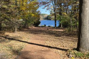 N6067 Gruening Ln, , Tomahawk,  WI 54487 USA