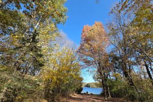 N6067 Gruening Ln, , Tomahawk,  WI 54487 USA